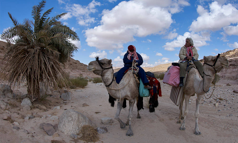 Wadi Suq el Binet