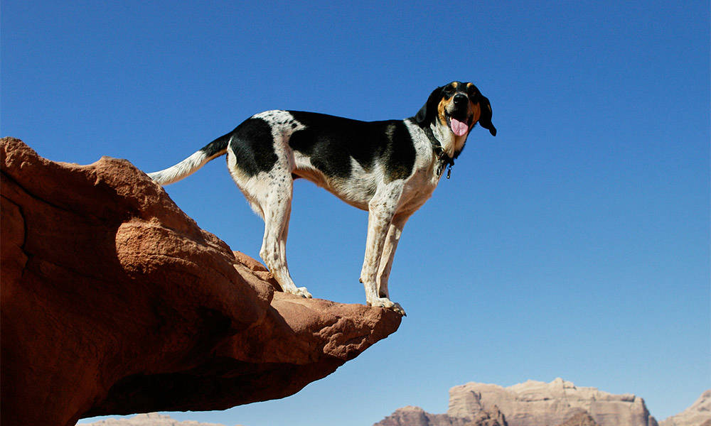 Wadi Rum