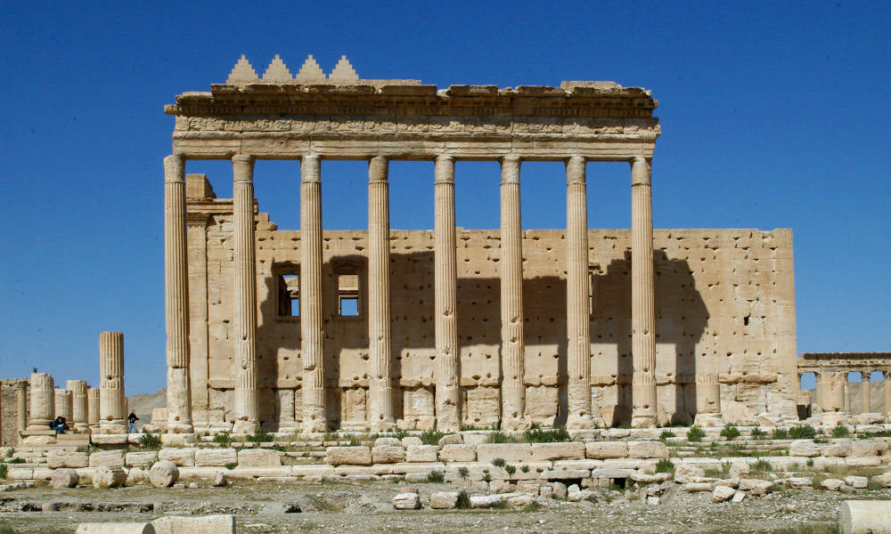 Palmyra