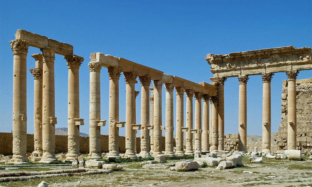 Palmyra