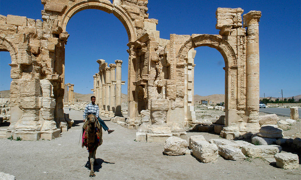 Palmyra