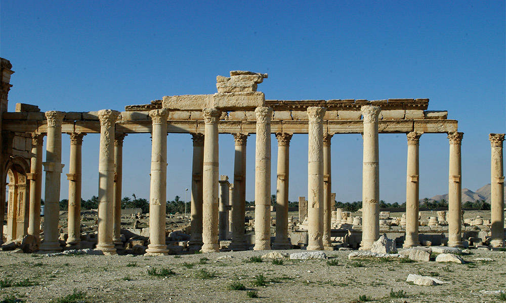 Palmyra