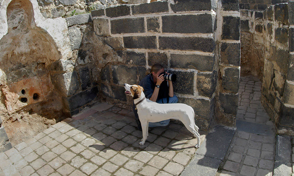 Bosra