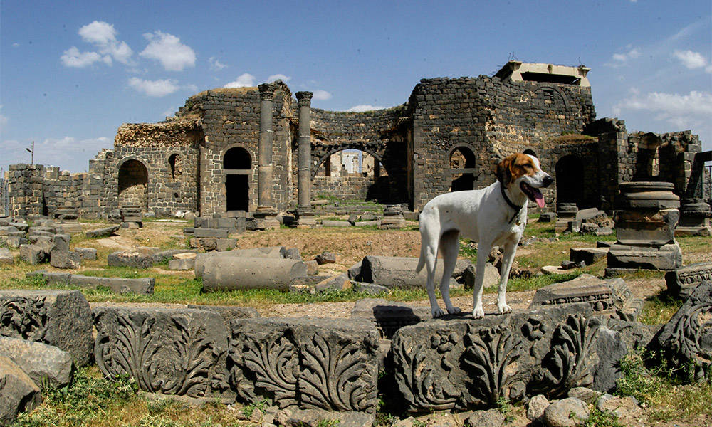 Bosra