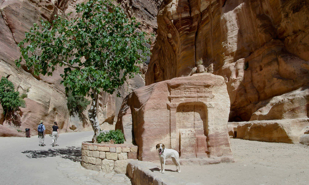 Petra