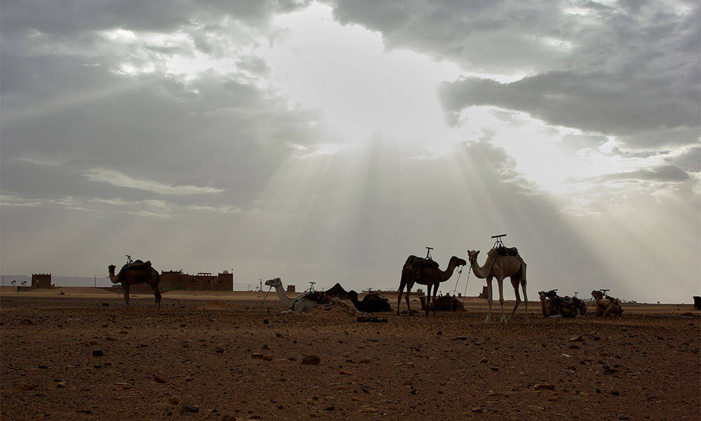 Erg Chebbi