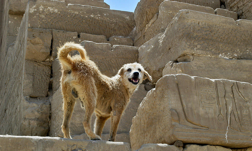 Dendera