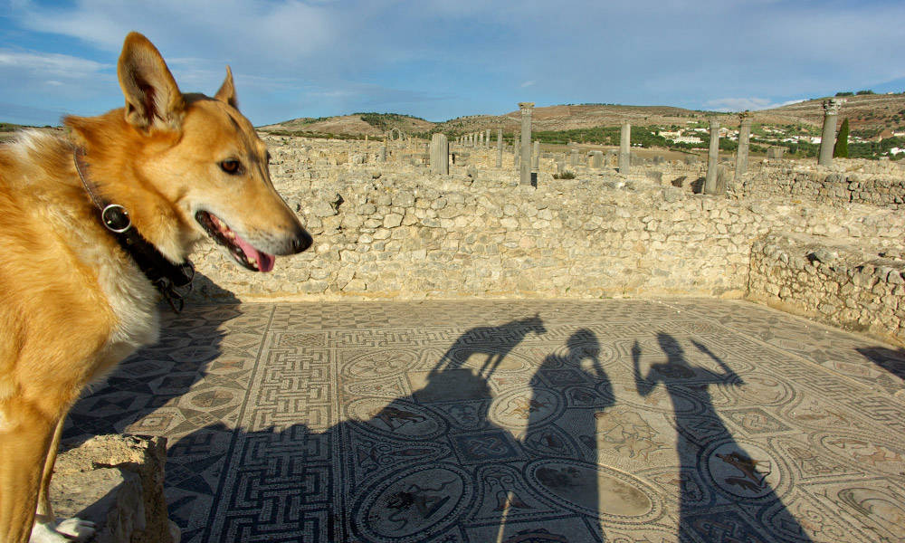 Volubilis