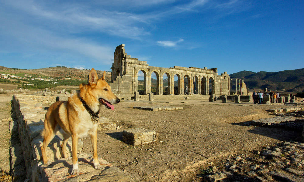 Volubilis