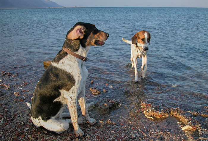 Lara und Luca am Abu Gallum