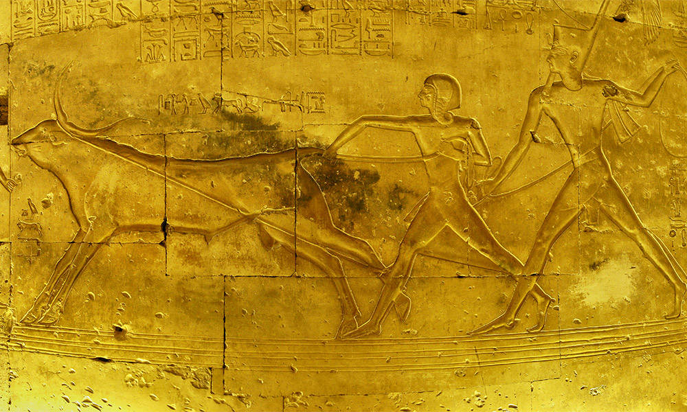 Abydos