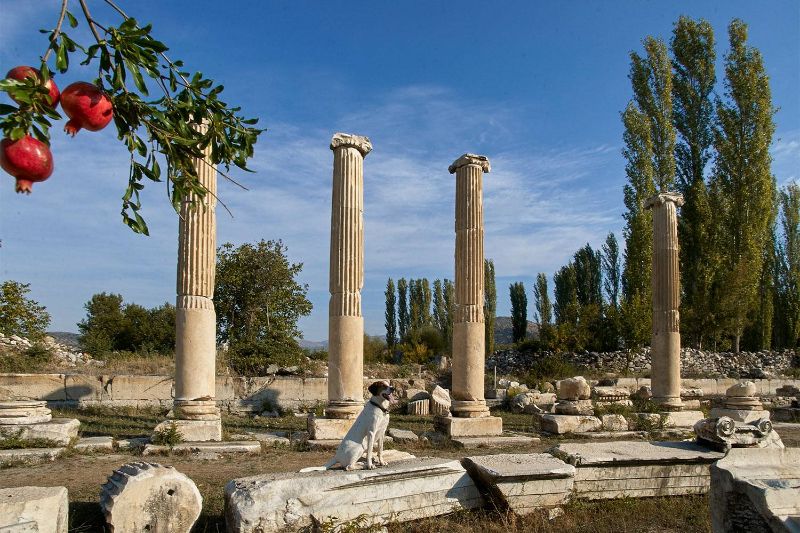 Aphrodisias