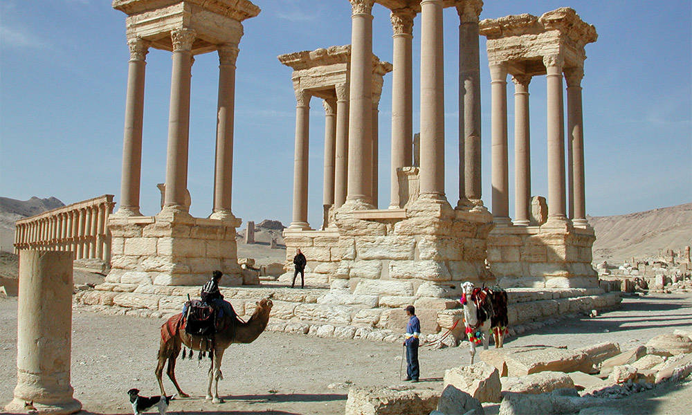 Palmyra