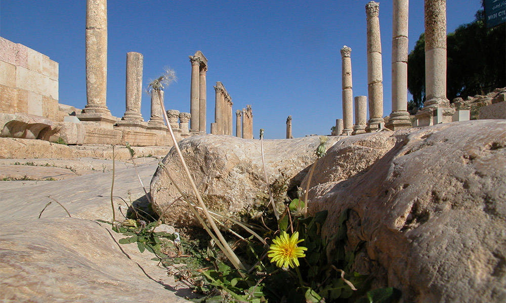 Jerash