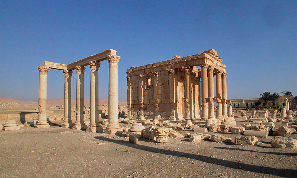 Palmyra