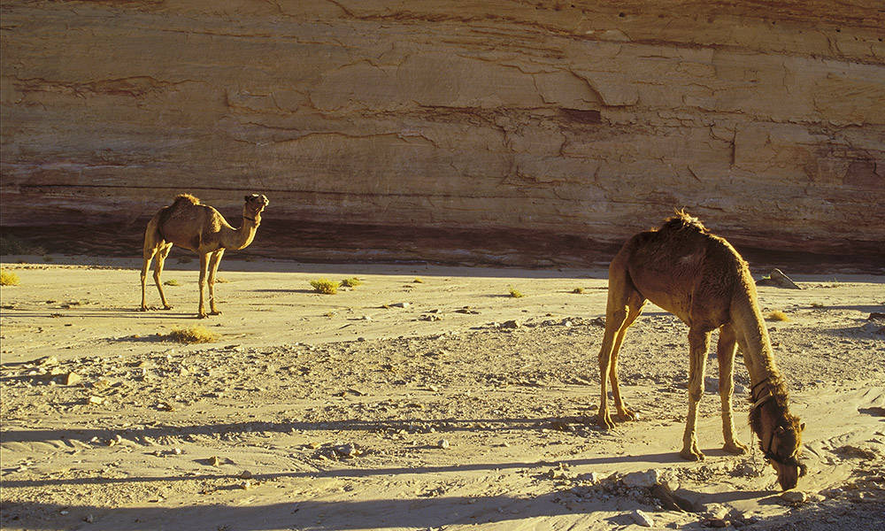 Wadi Sudr