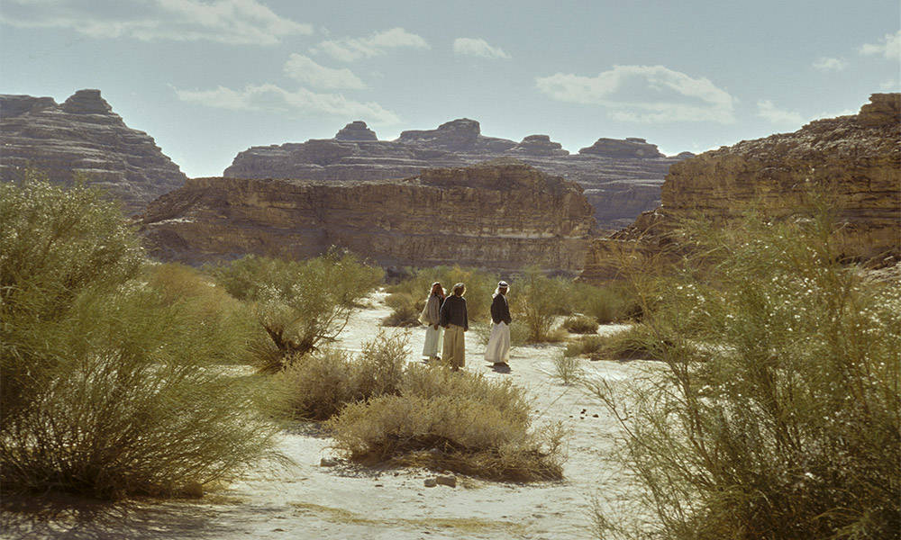 Wadi M'hamada