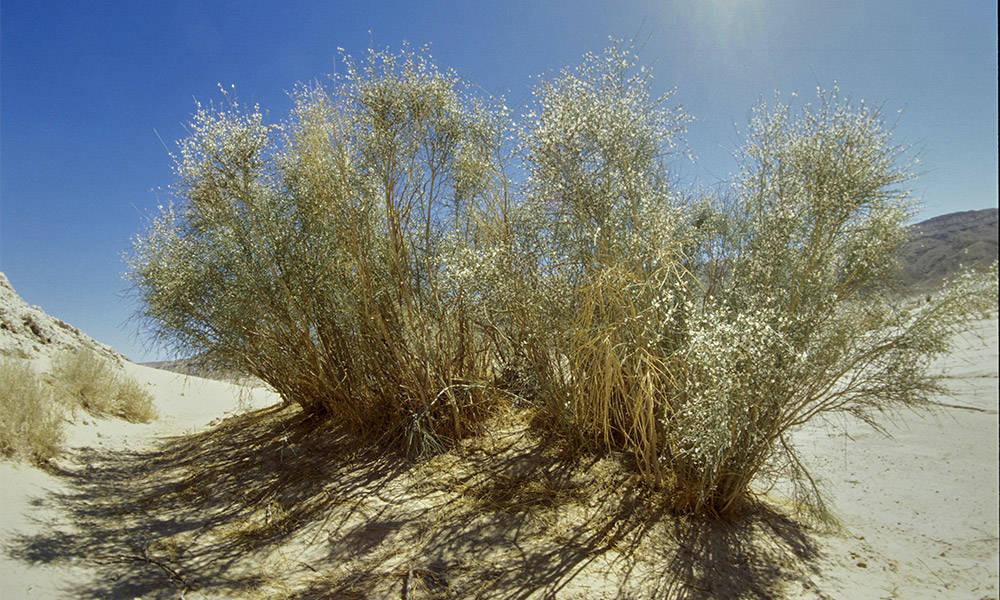 Wadi Zalaga