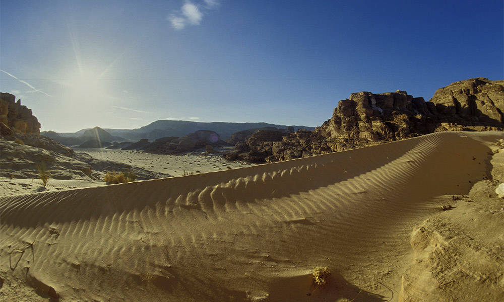 Wadi Arade