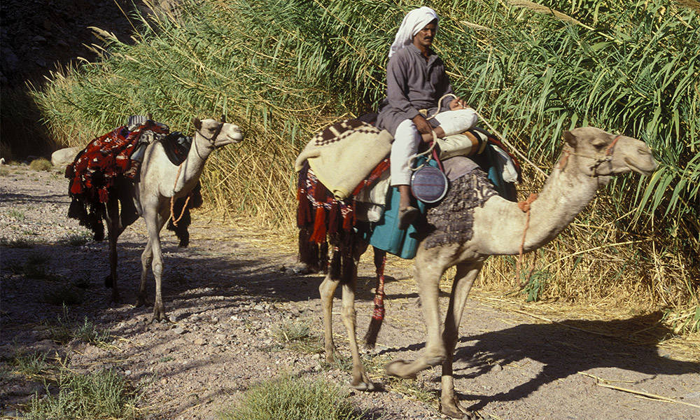 Wadi Isla