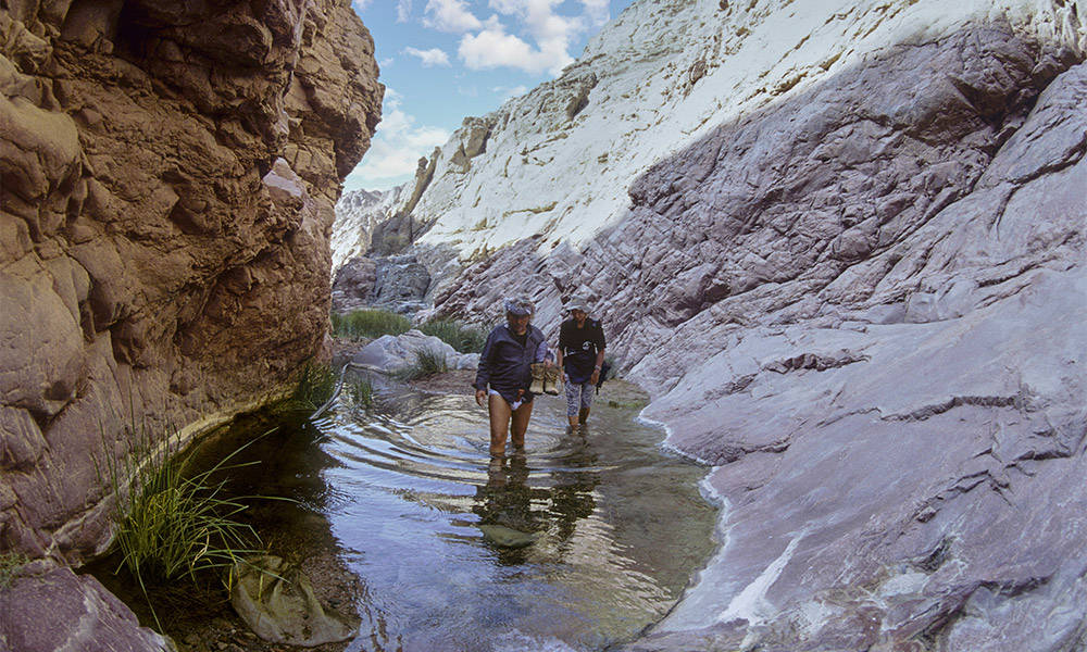 Wadi Isla