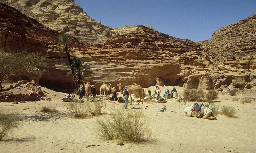 Wadi Ghazala