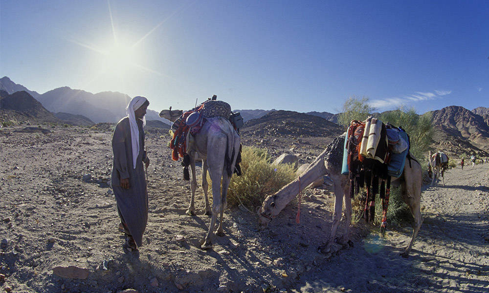 Wadi Emhal