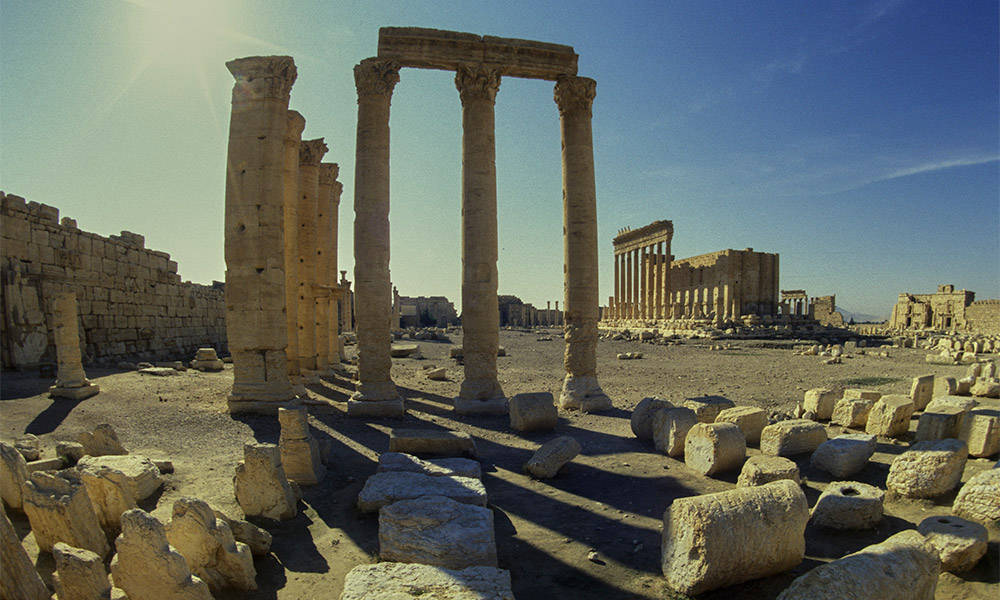 Palmyra