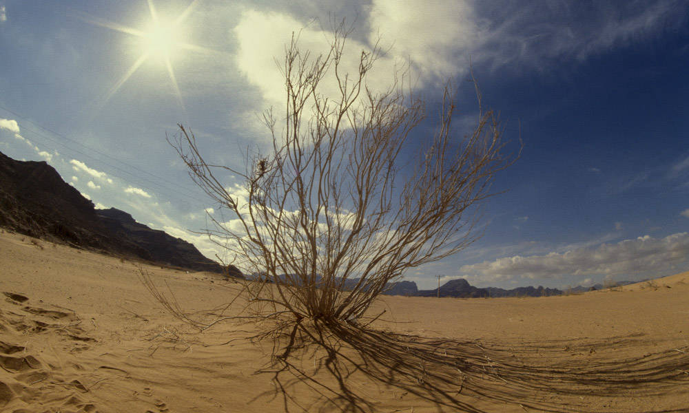 Wadi Rum