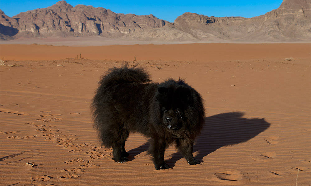 Wadi Rum