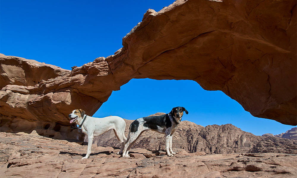 Wadi Rum