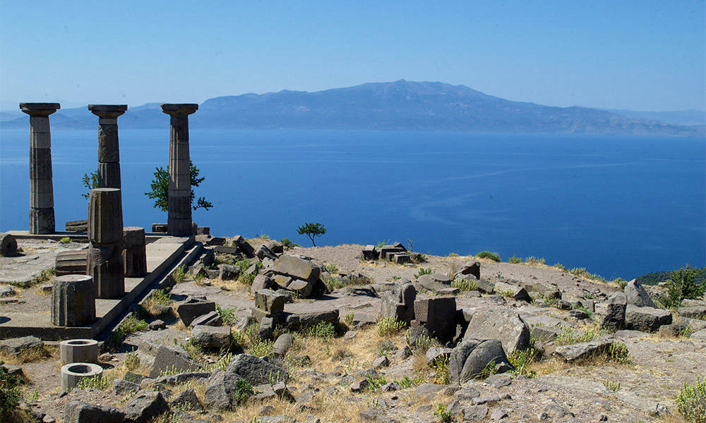 Assos