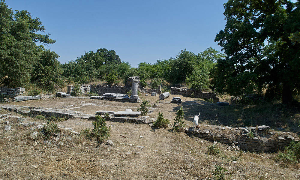 Troja