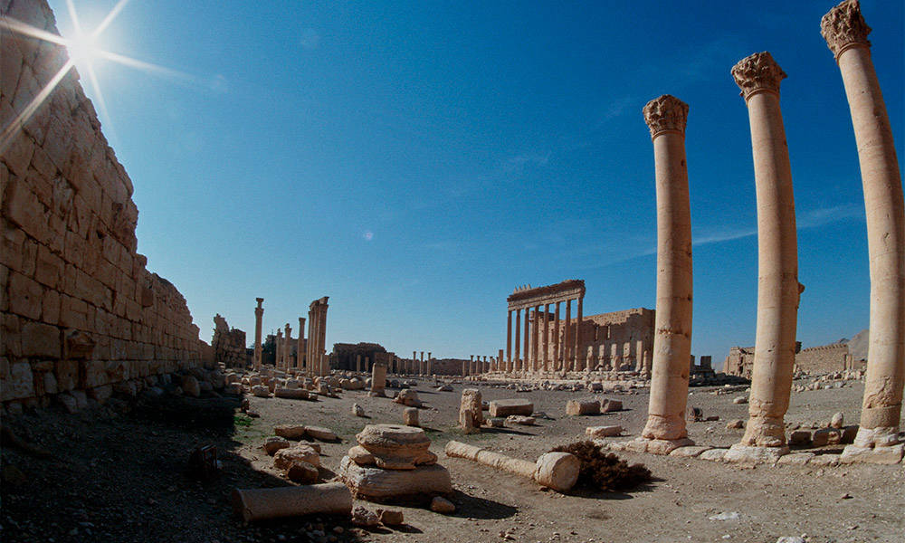 Palmyra