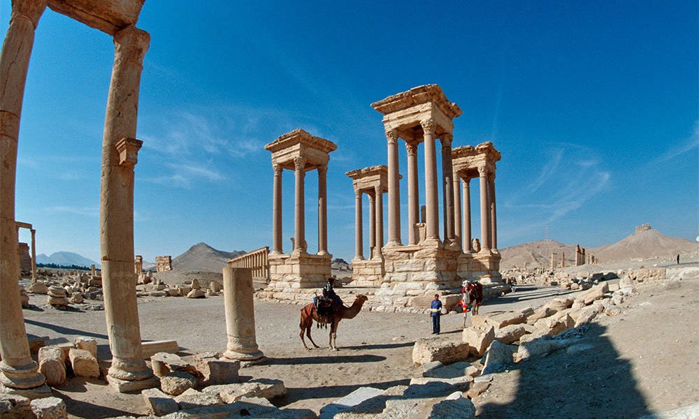 Palmyra