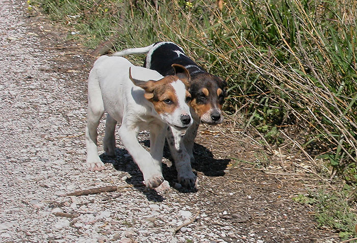 Lara und Lucy