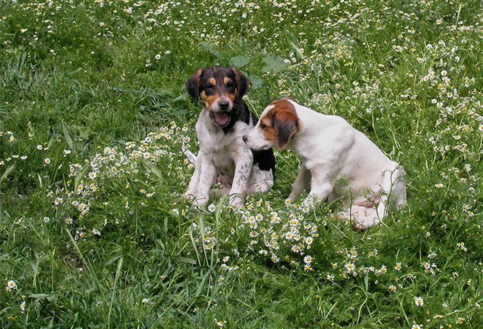 Lara und Lucy