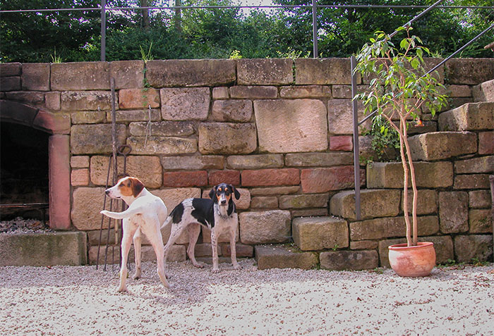 Lucy und Lara im Tiefhof