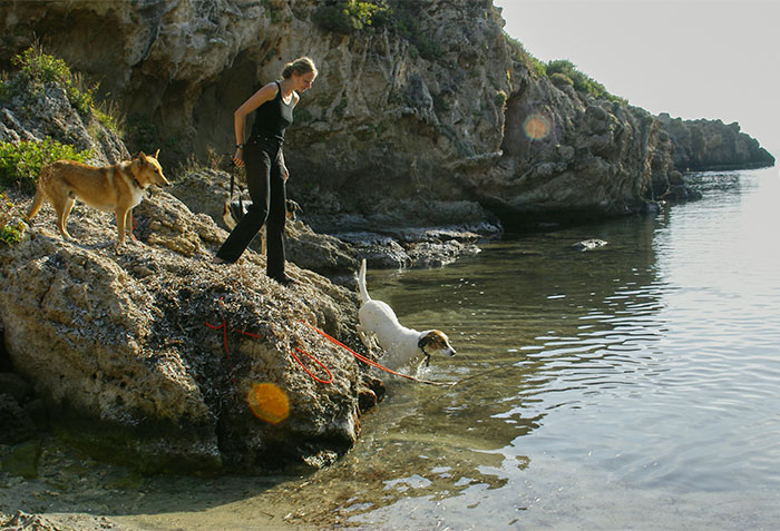 Steffi und die Hunde am Meer